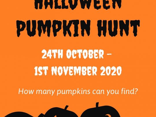 Halloween Pumpkin Hunt